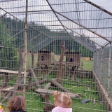 zoo