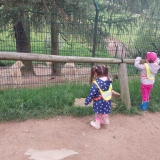 zoo