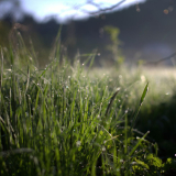 wodne-iskierki-autor-bozena-pyrdol